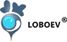 https://ir.loboebike.com/