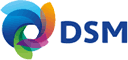 https://www.dsm.com/